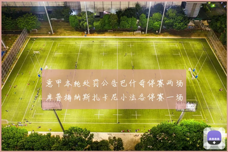 意甲本轮处罚公告巴什奇停赛两场库普梅纳斯扎卡尼小法各停赛一场