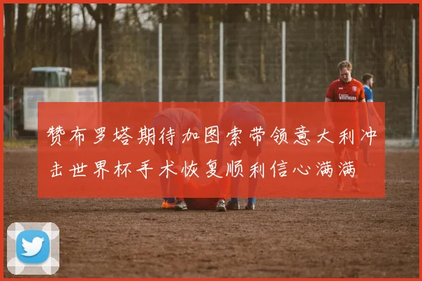 赞布罗塔期待加图索带领意大利冲击世界杯手术恢复顺利信心满满