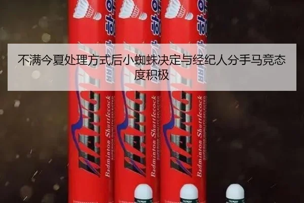 不满今夏处理方式后小蜘蛛决定与经纪人分手马竞态度积极